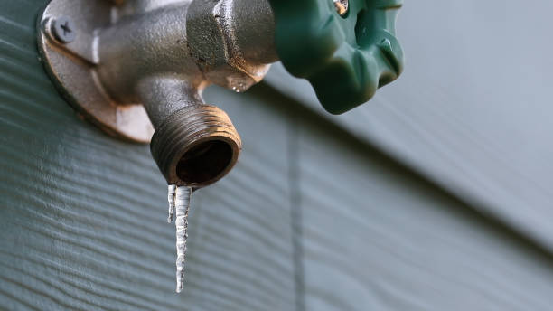 Best Local Plumber Services  in Jasmine Estates, FL